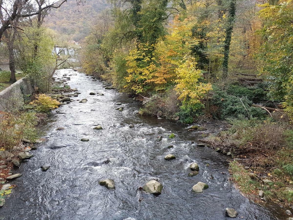 Fewo Am Moorteich ثال المظهر الخارجي الصورة